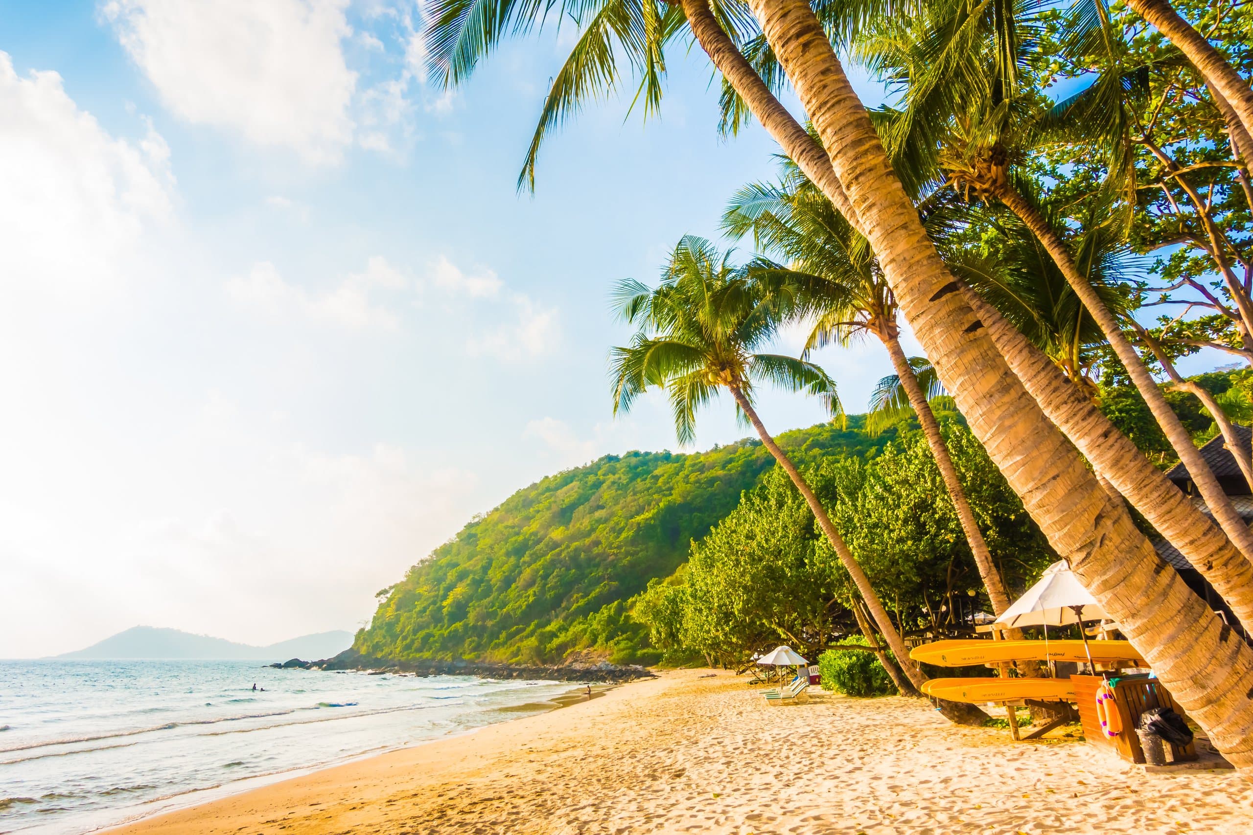 Plage tropicale aux palmiers
